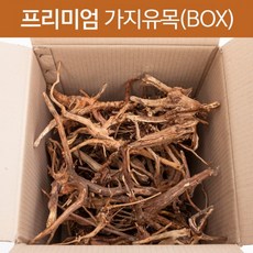 프리미엄 가지 유목 약 5kg 1박스