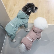 미니비숑
