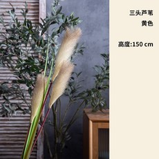 cc531fff29ed4e306d303f5fc73e29f6b187fabd8b88e2c96300f3b5a12e.jpg