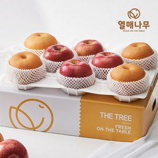 퍼블릭갤러리배진희.