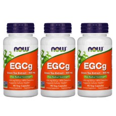 카멜리아시넨시스