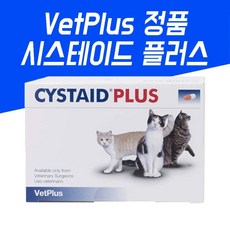 시스테이드플러스