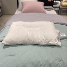 레노마홈 마이크로 엘라 스퀘어 베개솜