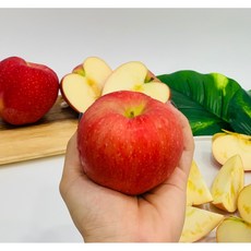 아인 햇사과 실속형가정용 가을과일의여왕 꿀사과 꿀이뚝뚝 단단한 튼실한 고당도 식감 선물, 5 kg (15~25과)