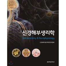 신경해부생리학