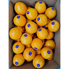 남아공 오렌지 3kg 5kg