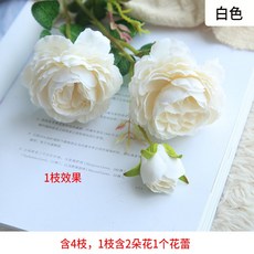 6cc56d8f38a79c30568dfb901aad164e18dd5d8a615a01bf27cb29b6b5bf.jpg