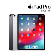 애플 아이패드 프로3세대 2019 12.9인치 1TB, 실버