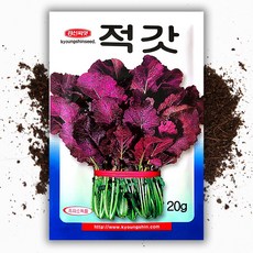 씨앗팜 적갓 씨앗 종자 20g 갓 씨, 1개