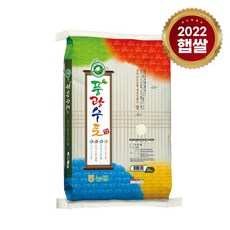 롯데상사 [담양농협] 풍광수토 신동진쌀 20kg/22년산, 단일옵션