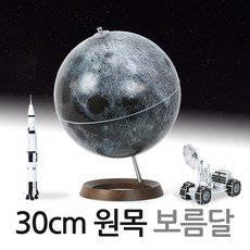 맵소프트타임원목지구본