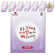 해피데이 포켓형 오늘 그대를 따뜻하게 해드리리라 핫팩 80g, 500개