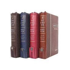 포커스책