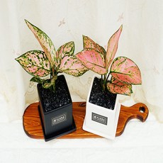 aa9c8d76efbb15dbcb28ebb70e0fec7049a5c4a1ff1011c0cd979631e898.jpg