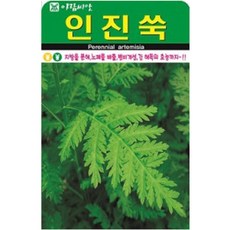 간 해독 인진쑥 씨앗(1000립)(A0718)
