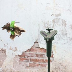 태양열춤추는벌새