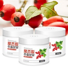 라이콘카트리지