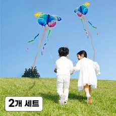 셀렉트디 1+1 낚시대 연 날리기 반짝이 꼬리줄 까치 독수리 나비 어린이 유아 낚시연 연만들기 연날리기, 2개, 블루