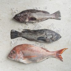 서피랑피쉬마켓