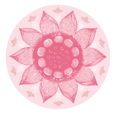 16c3a99e3a99194b03cebb0d21d28eb7c4124fb3882b0af33e9cea490f17.png