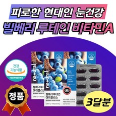 강화루지할인