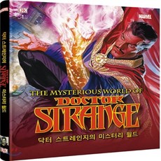 닥터스트레인지책