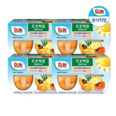 Dole Dole돌 후룻볼 트로피칼 4개입, 113g, 4개