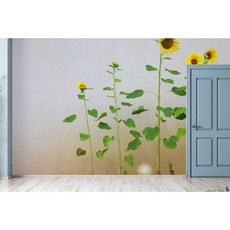 뮤럴벽지해바라기