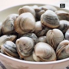 참다른 당일손질 동죽(물총조개) 1kg, 1개