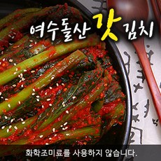 여수천사돌산갓김치