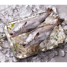 [우리씨푸드] 국내산 반건조 민어 300gx10팩 총 3kg, 300g, 10개