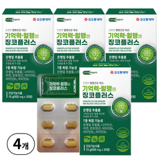 코오롱제약 기억력 혈행엔 징코 플러스, 30정, 4개