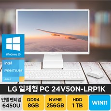 lg올인원pc