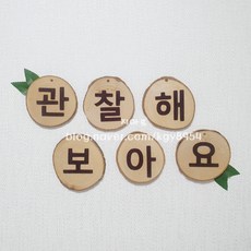 관찰해보아요 나무이름표 제목 타이틀 / 과학영역 / 탐색영역