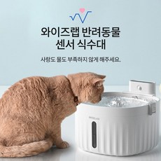 와이즈랩가습기