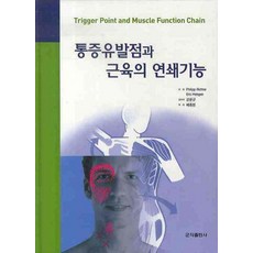 통증근육책