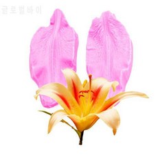68ce558c9abff6380a04b0b7c65f7e7b1b886e7a83bc054c6bb31de136d1.jpg
