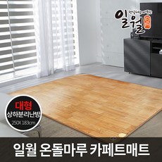 일월전기장판특대