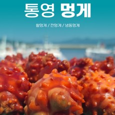 꽃멍게