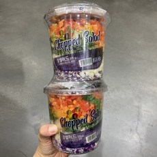 코스트코씨위드샐러드