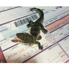 발도르프쇼핑몰