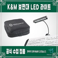 오케스트라공연