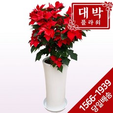 aed1537da6cc5700b47171fe0b0b013235cae0795a586402fa2016b732a2.jpg