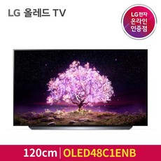 48인치oled