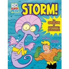 (영문도서) Storm!: The Origin of Aquaman's Seahorse Paperback, Stone Arch Books, English, 9781666328868