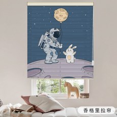 아이방롤스크린우주