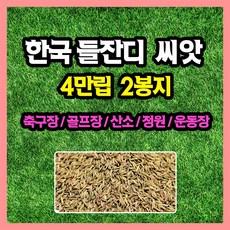 한국들잔디 씨앗 4만립 (중포장) 축구장 골프장 공원 산소 잔듸, 2개