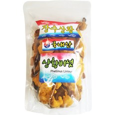 국산 장수상황버섯 한방 한약 건강차 동의한약나라, 1개, 150g
