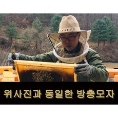 달콤양봉