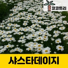 cf8a01dc37b9d9a2b6388c23507d147a1deccbb81b65eac394c5117ef2bd.jpg